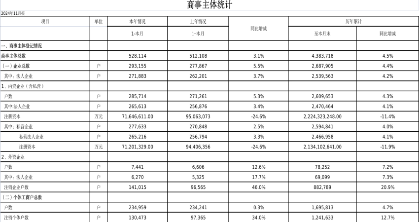 2024年11月份商事主体统计报表.png